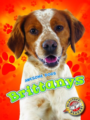 cover image of Brittanys